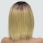 Парик с сеткой Hania Lace Front: цвет 24SP613YS4 блондин с темными корнями